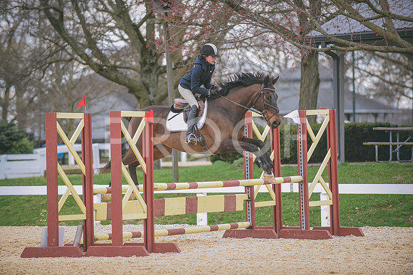 DSC_0354 copy