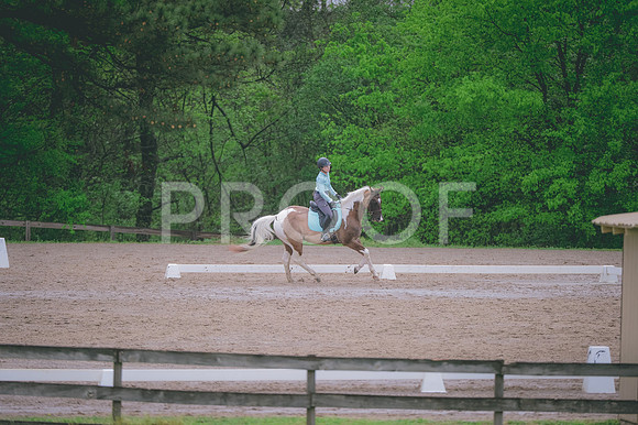 JJS_2844