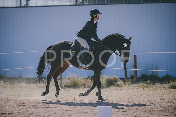 JJS_6823