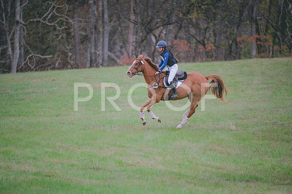 JJS_0239