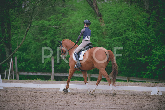 JJS_4859