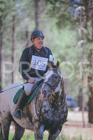 JJS_3368A