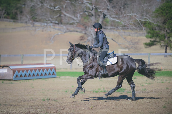 JJS_2453