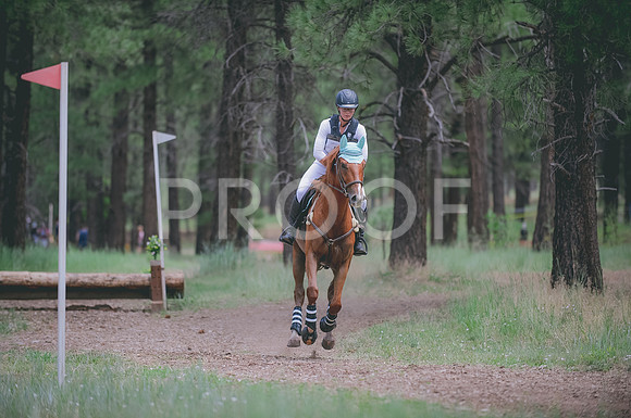 JJS_3026A