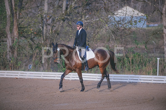 JJS_2941