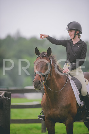 000_2594