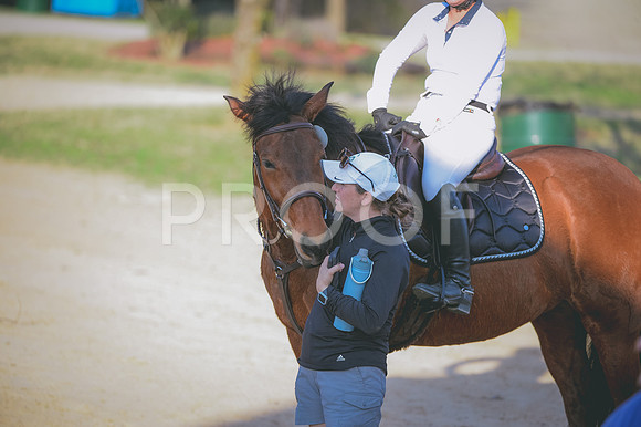 JJS_4038