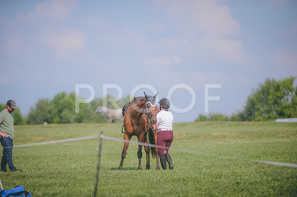 JJS_3846