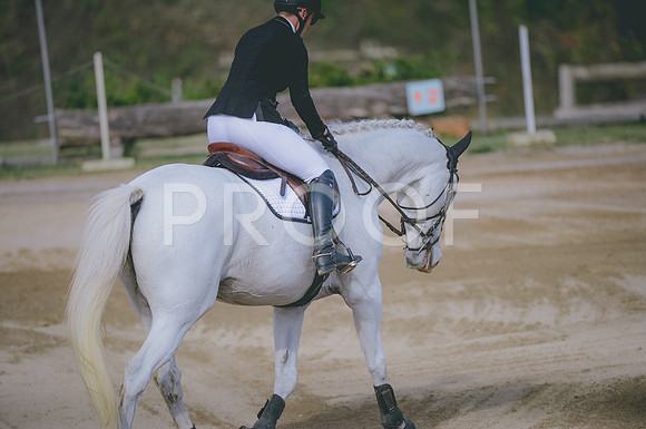 JJS_6767