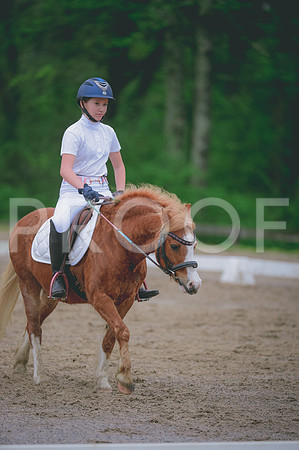 JJS_0794