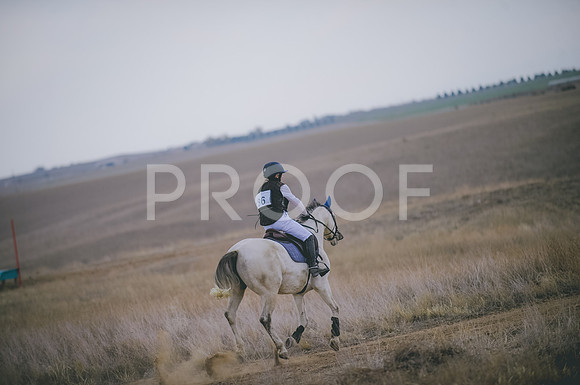 JJS_4470