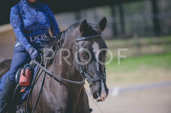 JJS_1510