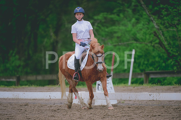 JJS_0719