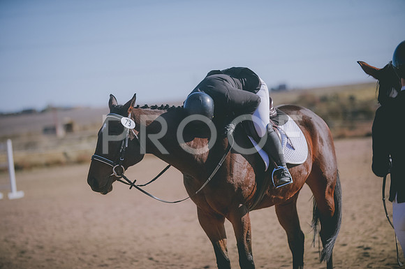 JJS_1590