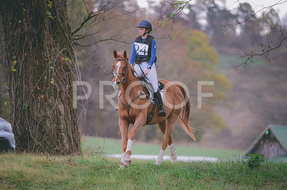 JJS_0222A