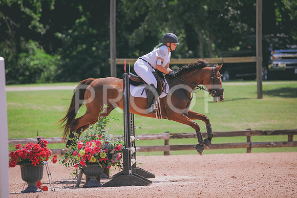 RWP_5356