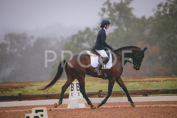 RWP_0768