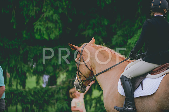 JJS_6310