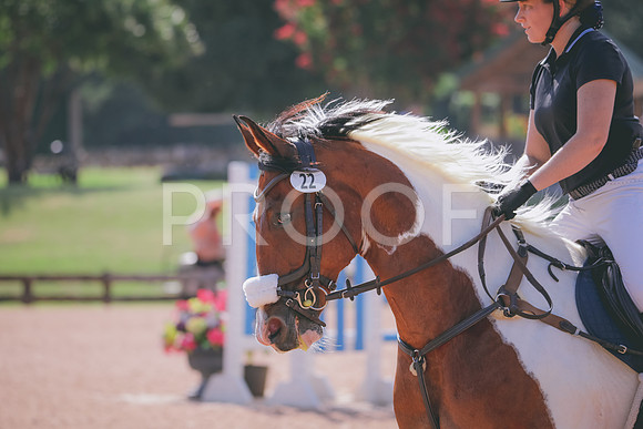RWP_4719