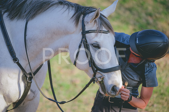JJS_4584