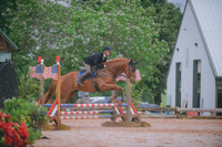 000_3161 copy