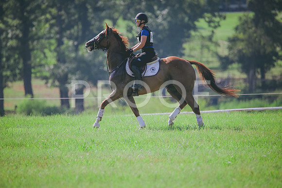 RWP_6342