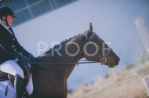 JJS_1331