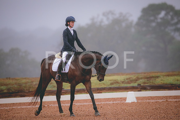 RWP_0815