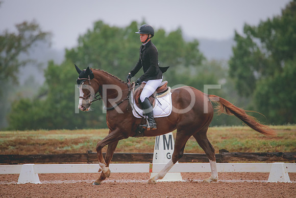 RWP_1038