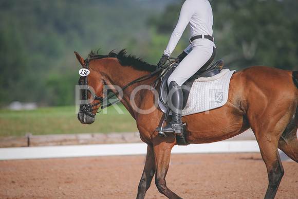 RWP_4465