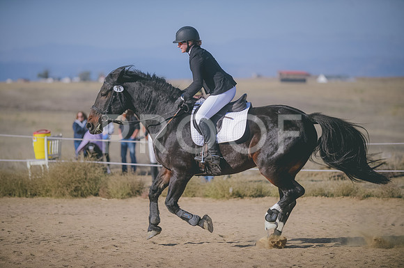 JJS_0894
