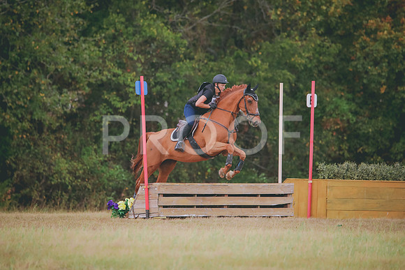 RWP_3811