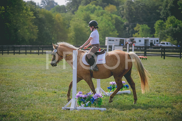 JJS_4676