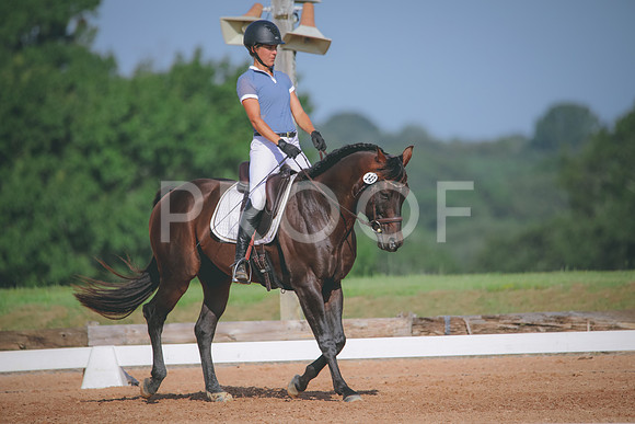 RWP_4609