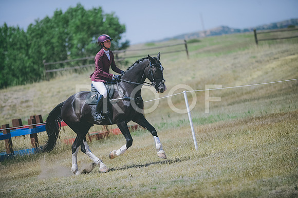 JJS_8643