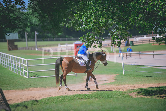 _DSC6746
