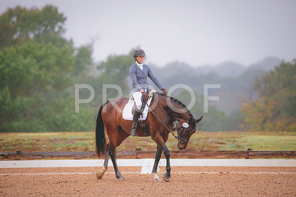 RWP_1072