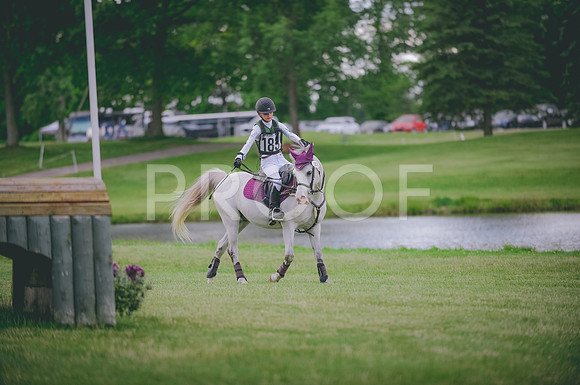 JJS_1386