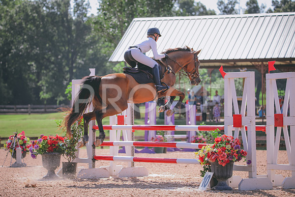 RWP_4886