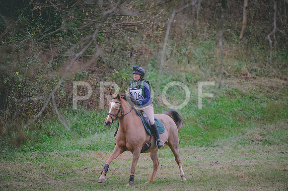 JJS_4261