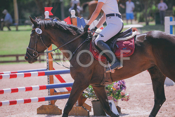 RWP_5283