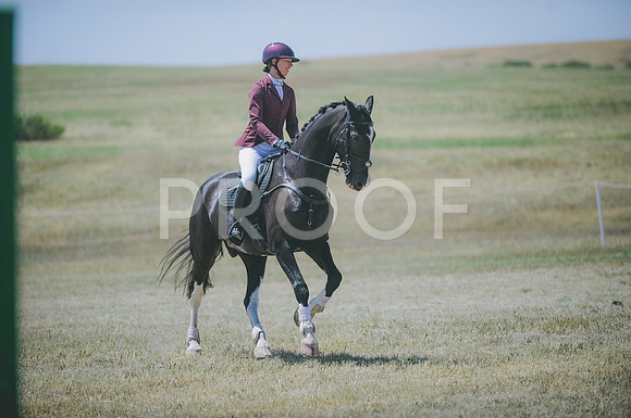 JJS_8492