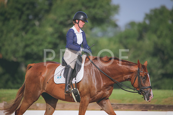 RWP_4447