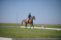 JJS_1779