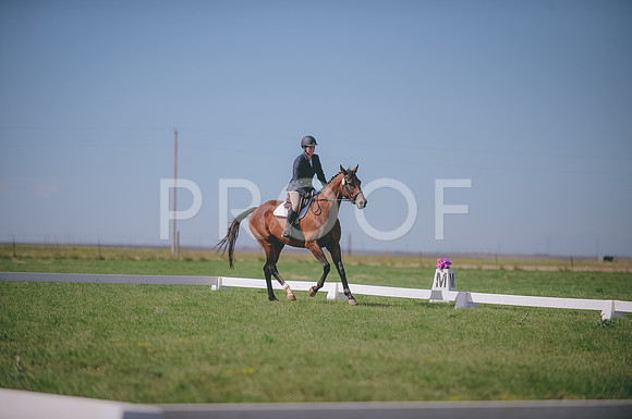 JJS_1779
