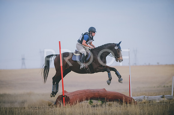 JJS_3627