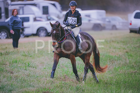 JJS_4433A