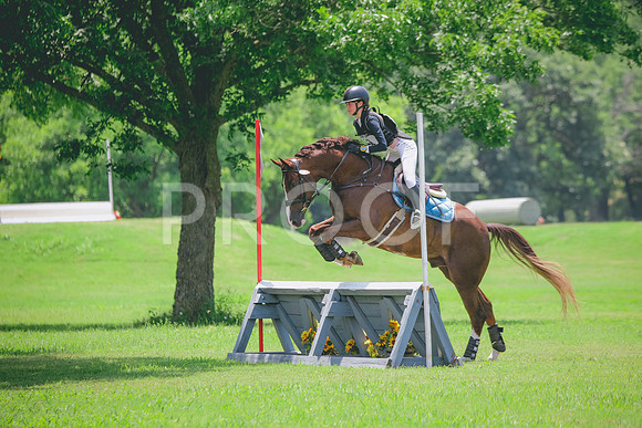 RWP_3288