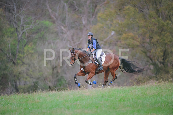 JJS_1293A