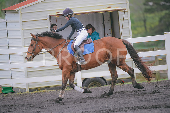 JJS_4907